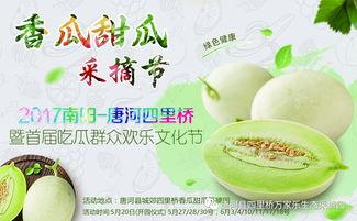 吃瓜网红大合集,揭秘网络红人的幕后故事