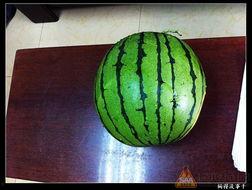 免费开车吃瓜网,揭秘网络热点的幕后故事